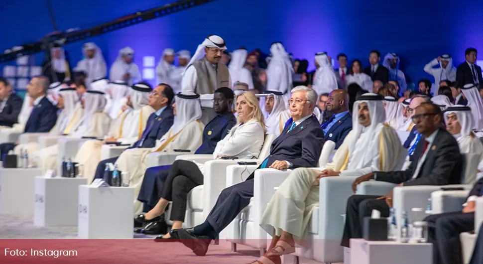 doha cvijanovic.webp
